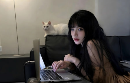 银杏折柳特别篇海报